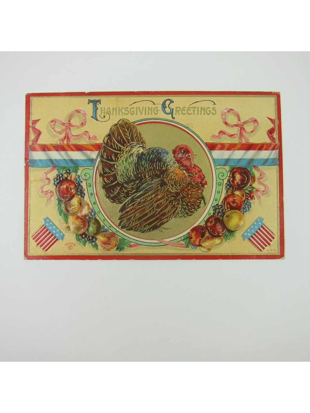 Thanksgiving Postcard Wild Turkey Farm Fruit Harvest Embossed Antique 1910